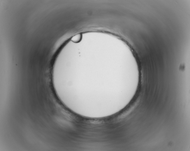 X0000090741501200708171957