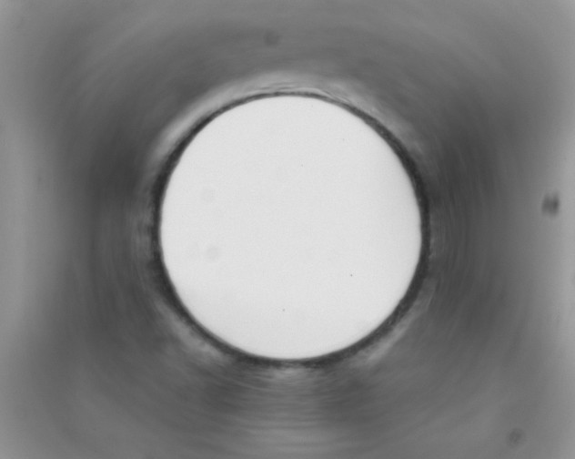 X0000090741502200708171957