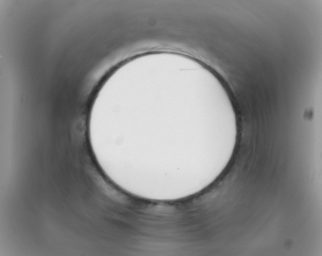 X0000090741503200708171957