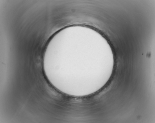 X0000090741505200708171957