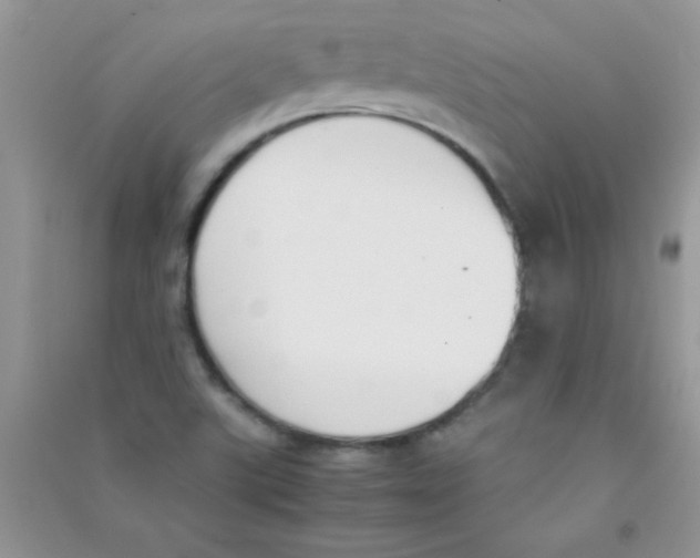 X0000090741507200708171957