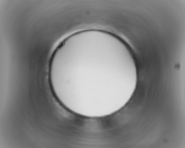 X0000090741508200708171957