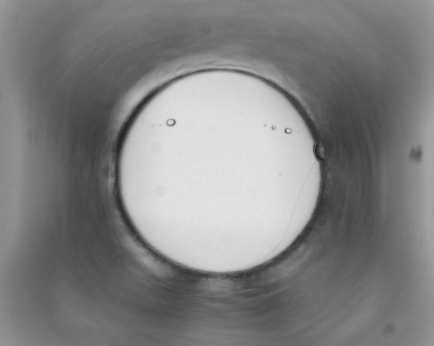 X0000090741511200708171957