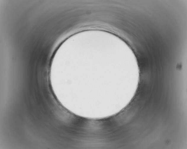 X0000090741514200708171957