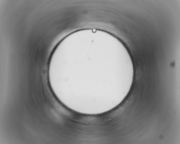 X0000090741517200708171957