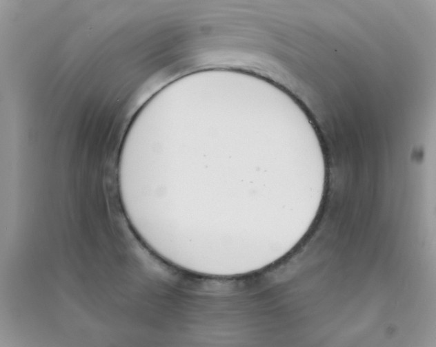 X0000090741521200708171957