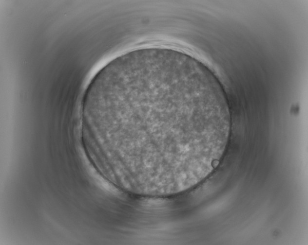 X0000090741522200708171957