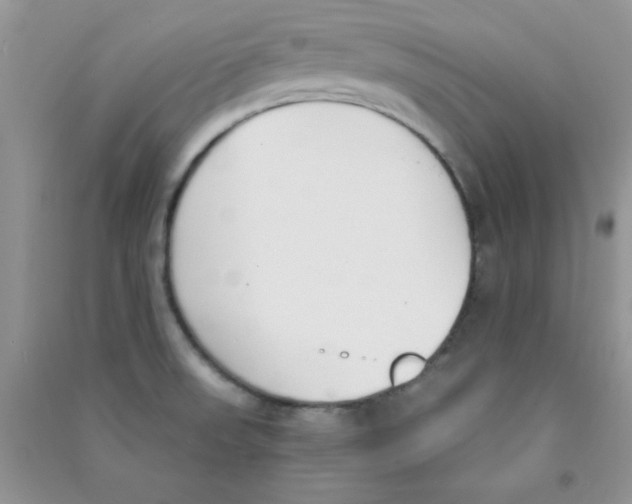 X0000090741523200708171957