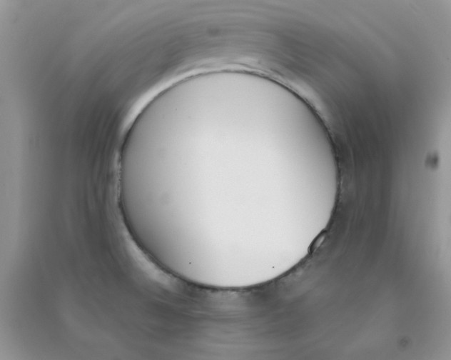 X0000090741524200708171957