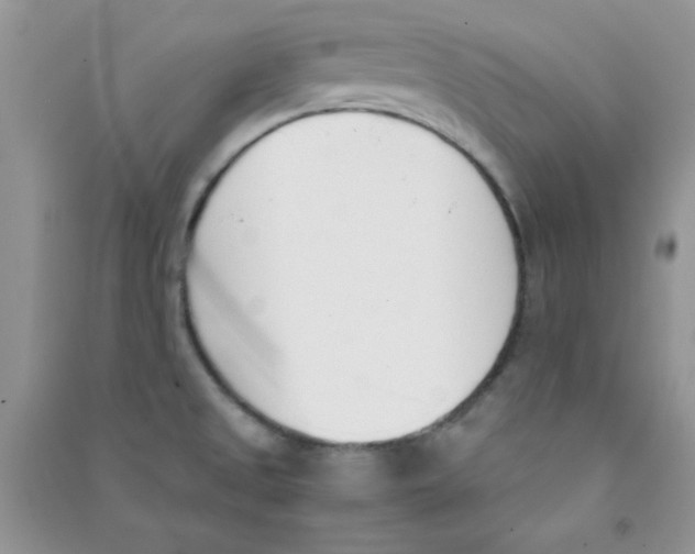 X0000090741525200708171957