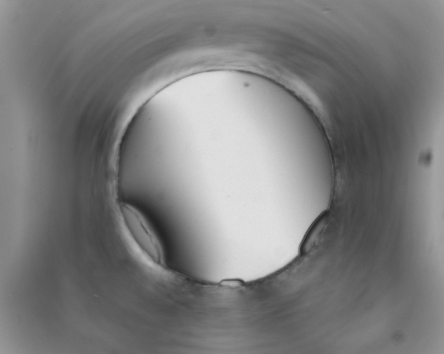 X0000090741528200708171957