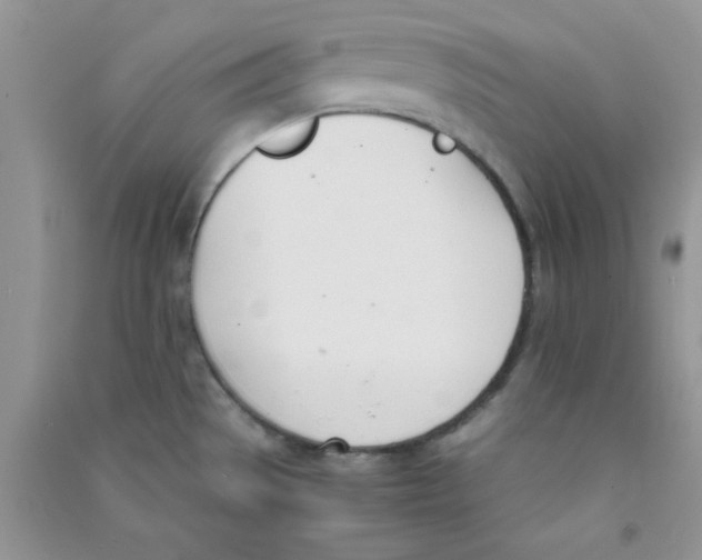 X0000090741529200708171957