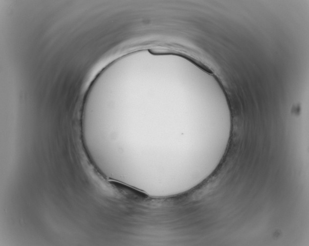 X0000090741530200708171957