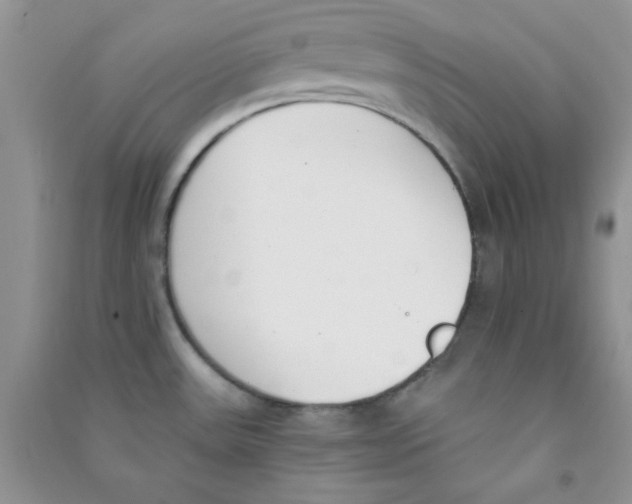 X0000090741531200708171957