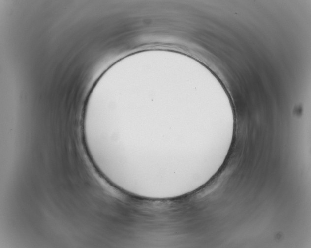 X0000090741533200708171957