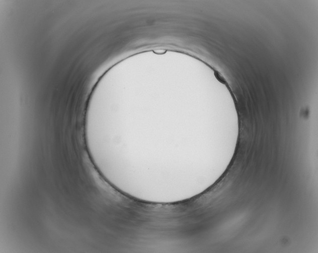 X0000090741534200708171957