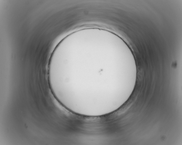 X0000090741535200708171957