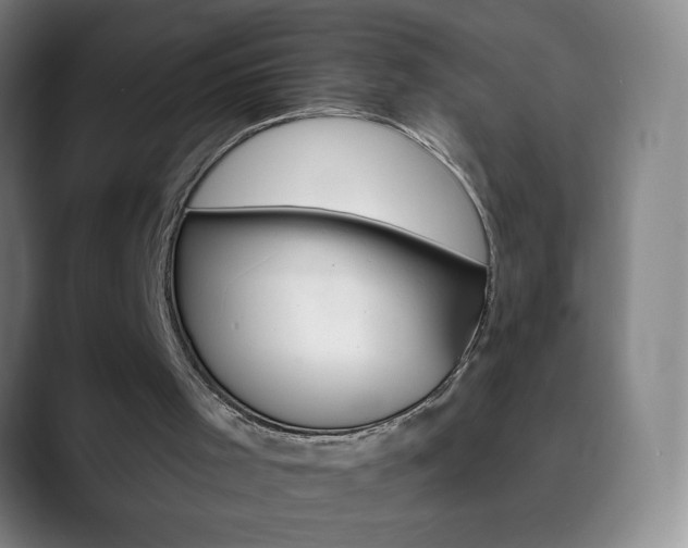 X0000090750001200707201040