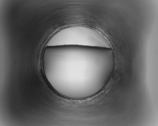X0000090750002200707201040