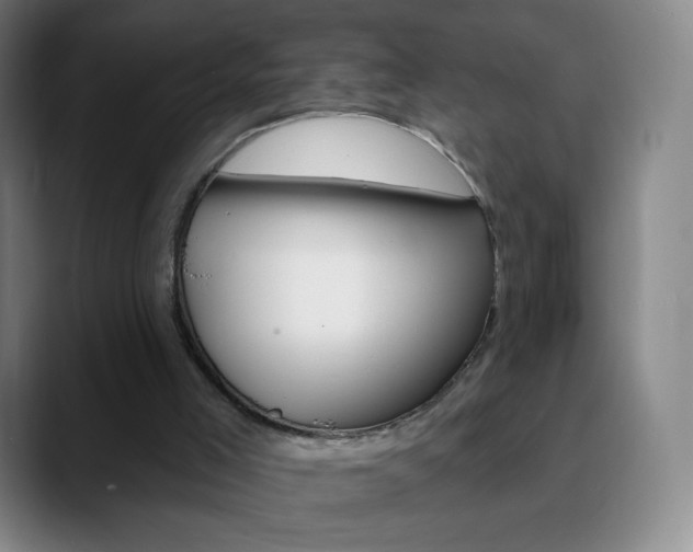 X0000090750005200707201039