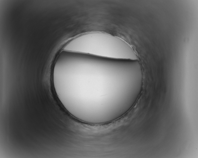 X0000090750006200707201039