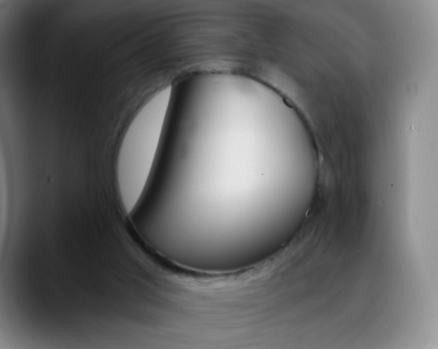 X0000090750013200707201039