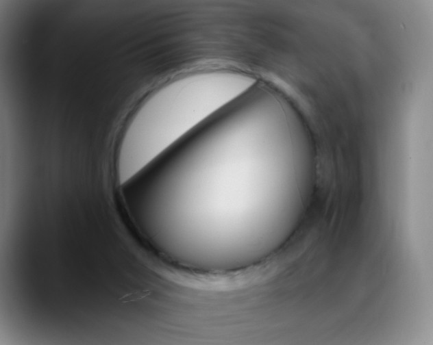 X0000090750015200707201039
