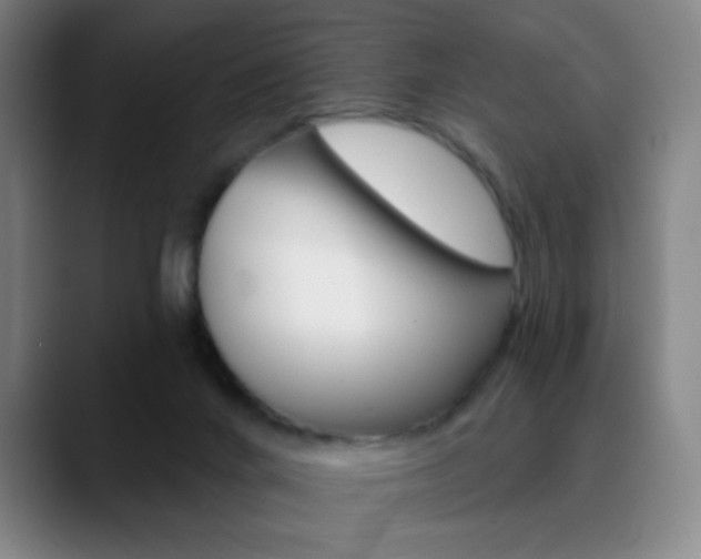 X0000090750024200707201039