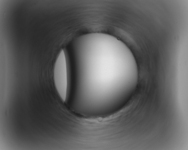 X0000090750025200707201039