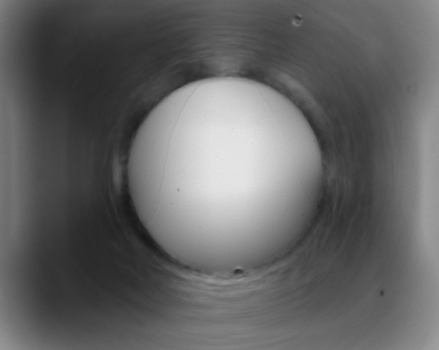 X0000090750026200707201039