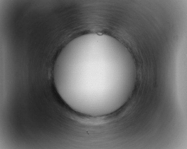 X0000090750032200707201039