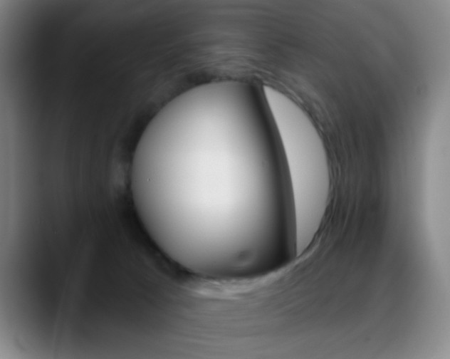 X0000090750033200707201039