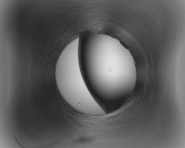 X0000090750037200707201039