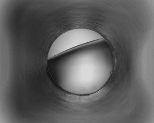 X0000090750048200707201039