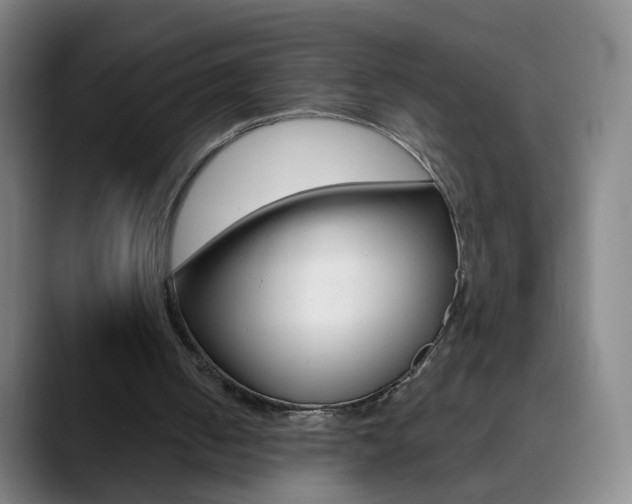 X0000090750050200707201038