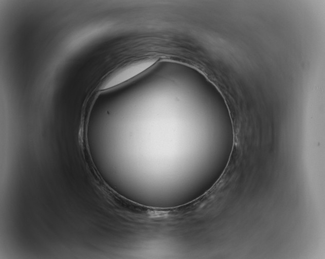 X0000090750052200707201038