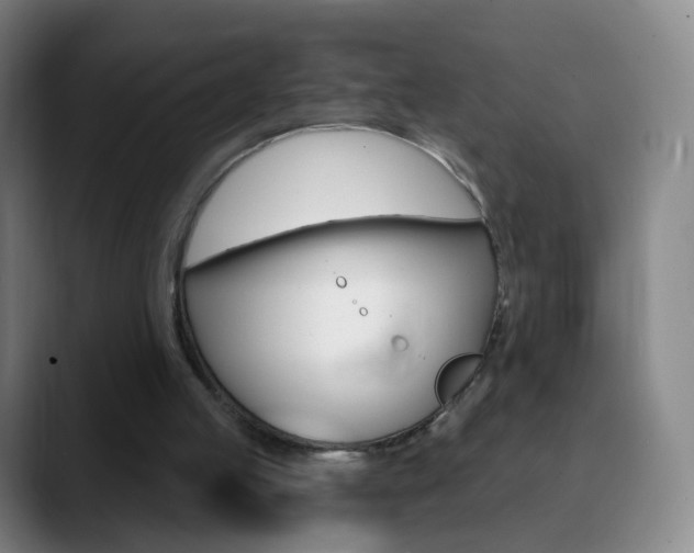 X0000090750053200707201038