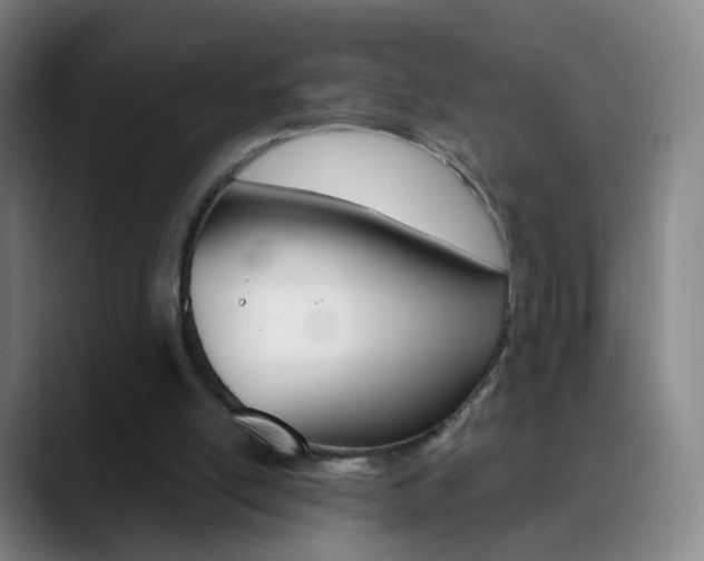 X0000090750054200707201038