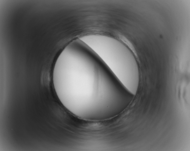 X0000090750059200707201039