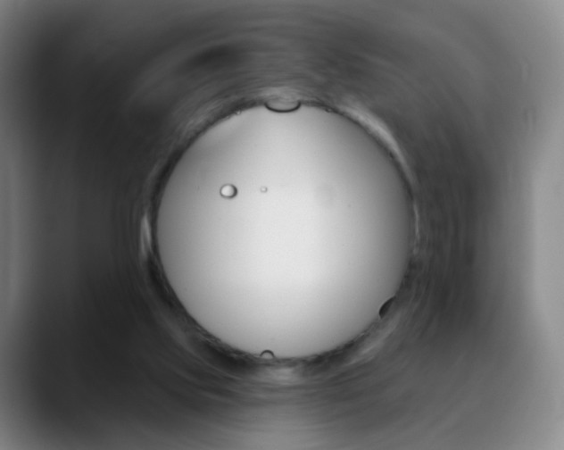 X0000090750061200707201039