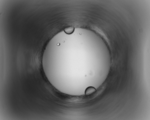 X0000090750065200707201039