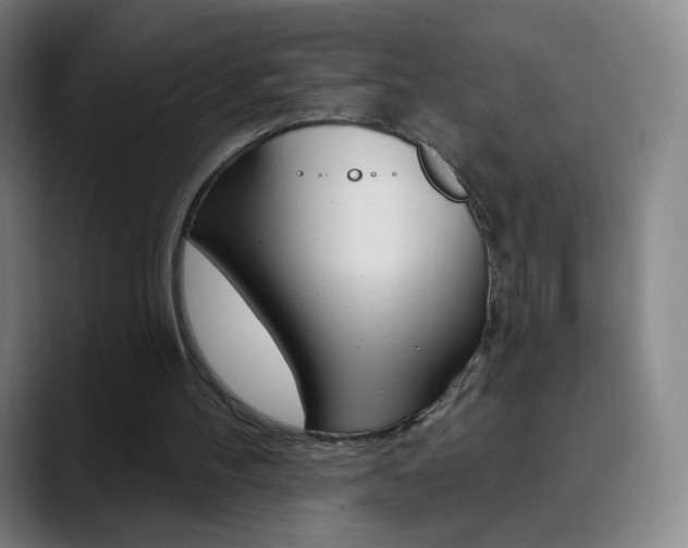 X0000090750100200707201038