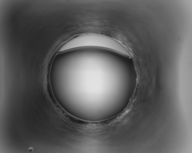 X0000090750101200707201038