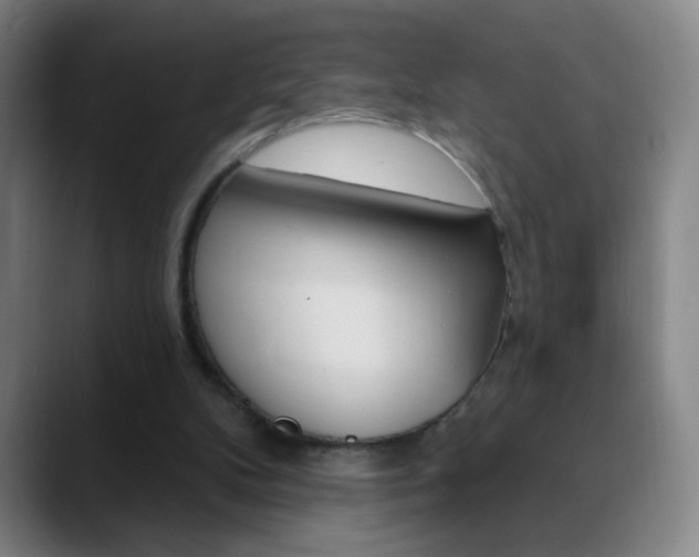 X0000090750104200707201038