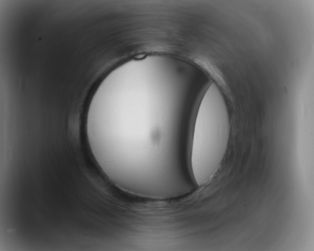 X0000090750108200707201038