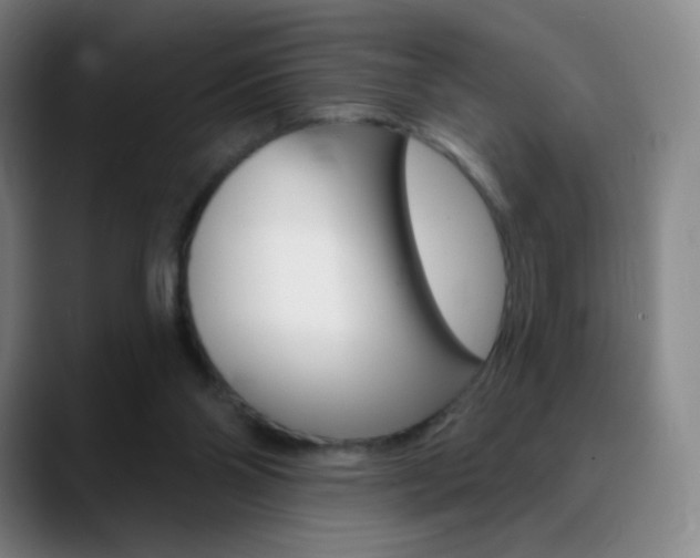 X0000090750110200707201038
