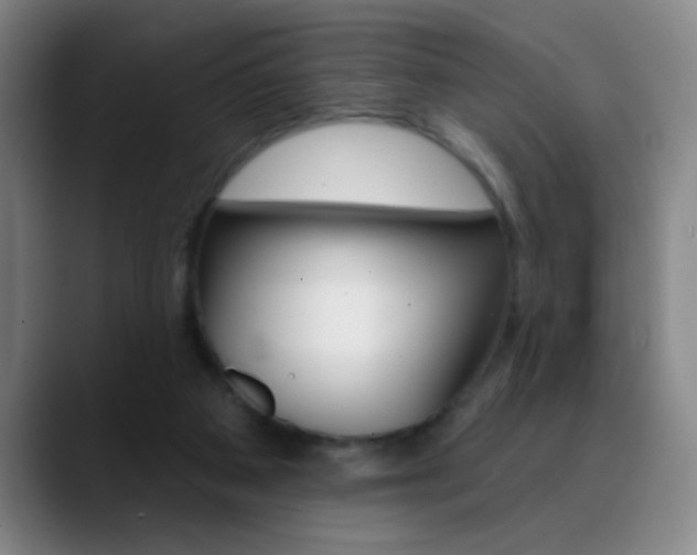 X0000090750113200707201038