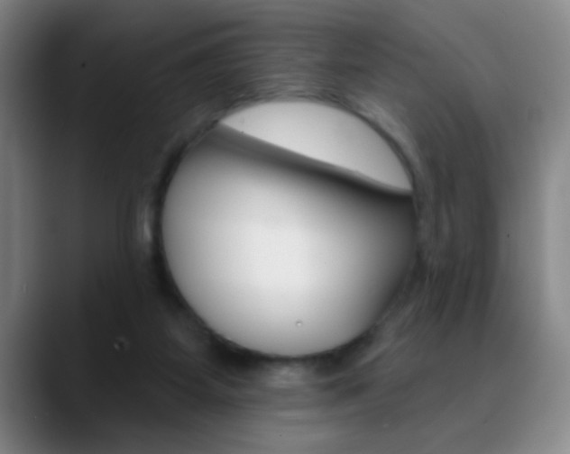 X0000090750115200707201038