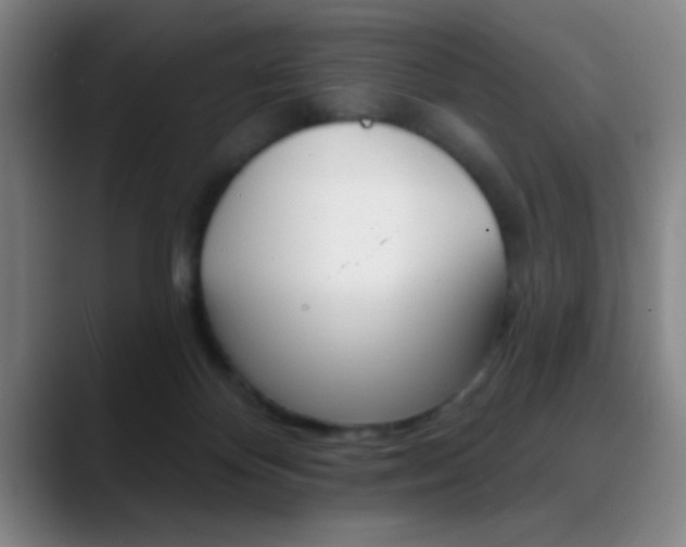X0000090750124200707201038