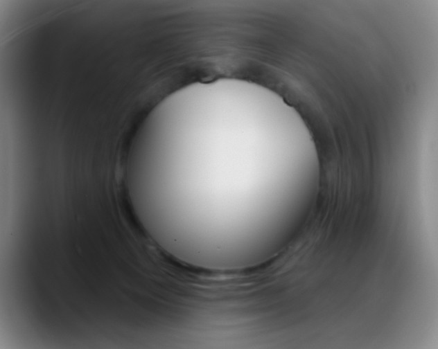 X0000090750129200707201038
